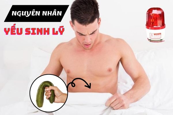 Nguyên nhân yếu sinh lý ở nam giới – Cách điều trị hiệu quả