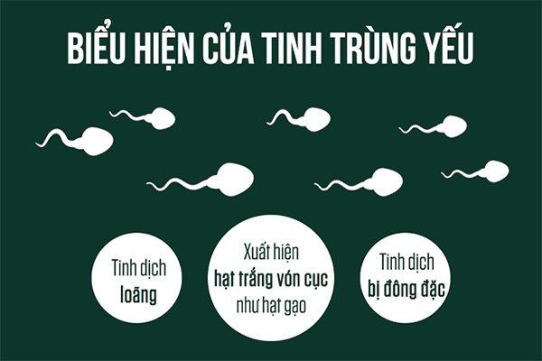 Dấu hiệu nhận biết tinh trùng yếu? Cách điều trị an toàn và hiệu quả