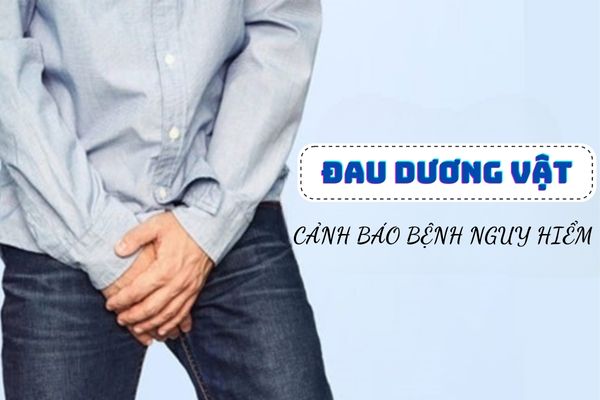 Đau dương vật bất thường – Cảnh báo nhiều bệnh nam khoa nguy hiểm