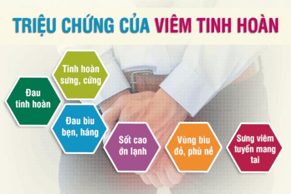 trieu-chung-viem-tinh-hoan