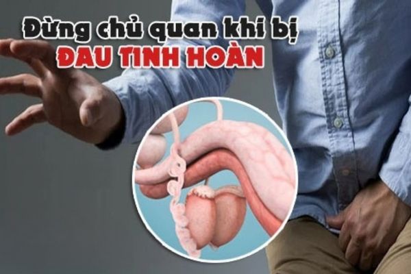 Đau tinh hoàn nhưng không sưng là triệu chứng bất thường cần lưu ý