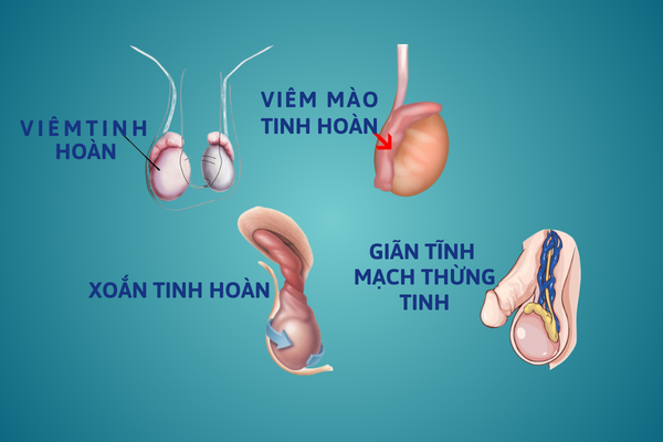 Diem-danh-cac-benh-duong-vat-pho-bien-hien-nay-4