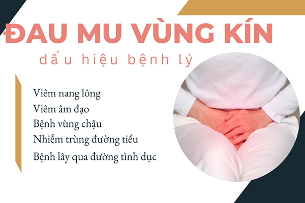 Đau mu vùng kín dấu hiệu cảnh báo bệnh lý cần chú ý