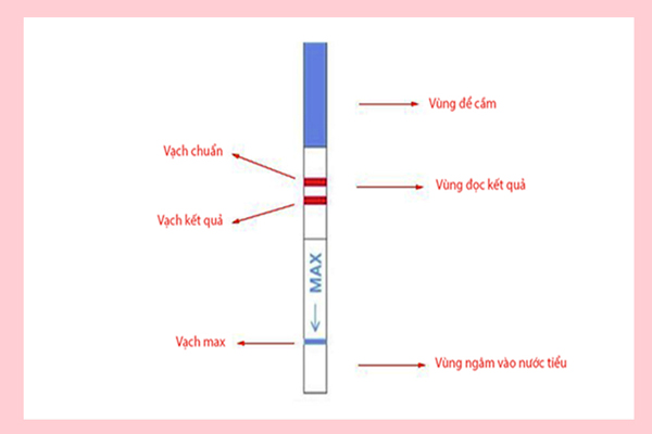 Que thử thai giúp phát hiện bản thân mang thai nhanh sau dấu hiệu chậm kinh