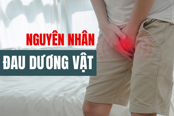 Xác định nguyên nhân đau dương vật.