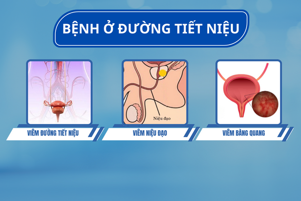 Cac-benh-o-duong-vat-nam-5