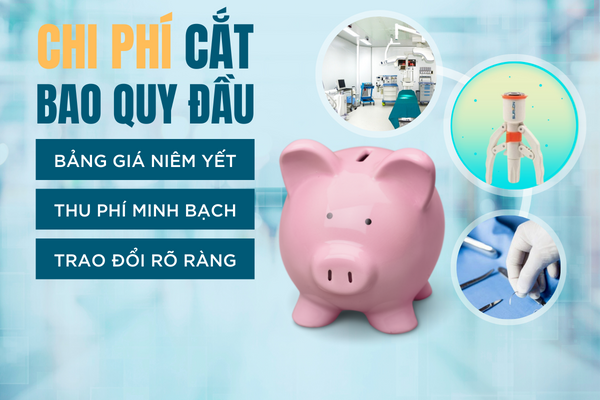 Goi-y-dia-chi-cat-bao-quy-dau-uy-tin-2