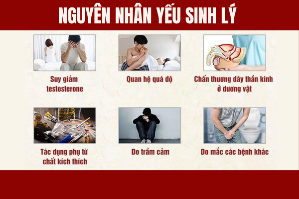 Yeu-sinh-ly-nguyen-nhan