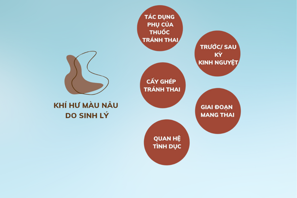 Hieu-dung-khi-hu-mau-nau-de-dieu-tri-hieu-qua-1