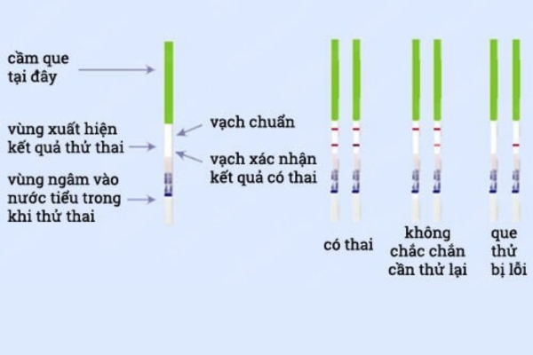 Các trường hợp cho ra que thử thai 2 vạch